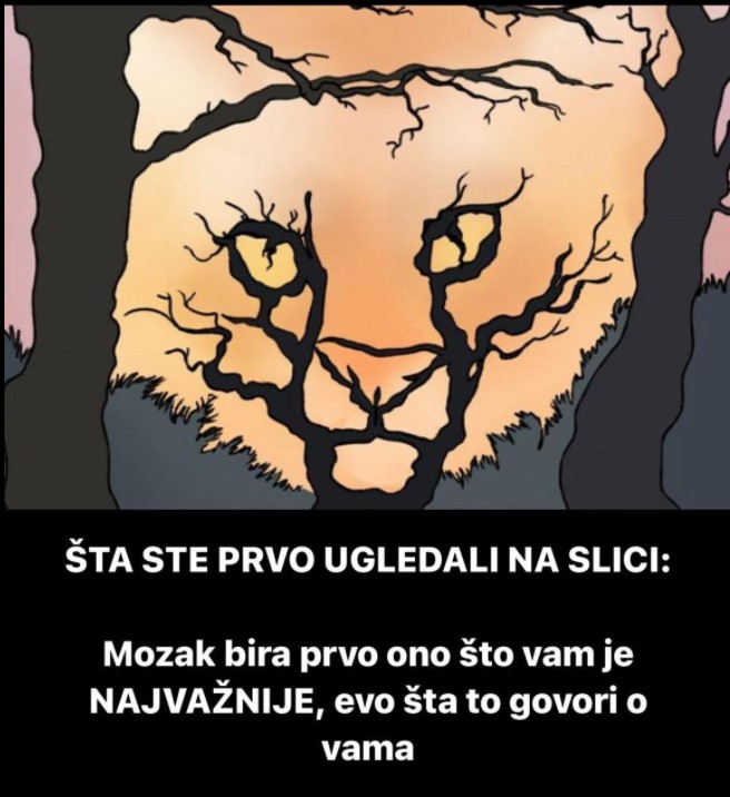 ŠTA STE PRVO UGLEDALI NA SLICI Mozak bira prvo ono što vam je