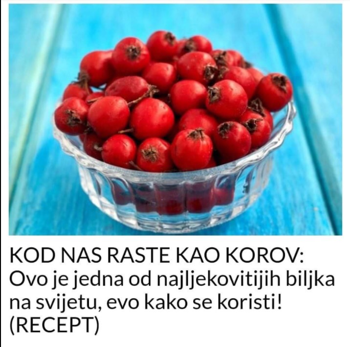 KOD NAS RASTE KAO KOROV: Ovo Je Jedna Od Najljekovitijih Biljka Na ...